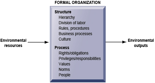 complex division of labor